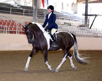 117 USEF English Pleasure Hunt Seat - Open