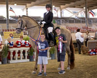 133 R10 PB Friesian Dressage Suitability - Open