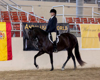 143 R1 A/L English Pleasure Hunt Seat - Jr Horse