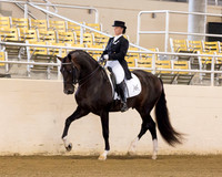 108.1 R1 A/L Senior Stallions 5 & Over - Functionality