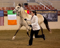 207 R1 A/L Junior Mares 3 & 4 Years Old