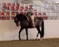 223 R1 A/L Western Pleasure - Open
