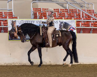236 USEF Western Pleasure Championship - Open