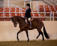214 R1 A/L-Half A/L Hunt Seat Equitation - 17 & Under
