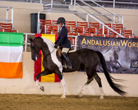 222 USEF English Pl Hunt Seat Championship