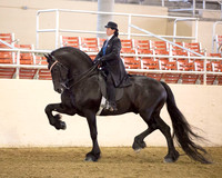 226 USEF English Pleasure Saddle Seat Championship