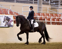 233 R10 Friesian Dressage Hack - ATR