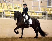 232 R10 Friesian English Show Hack - ATR