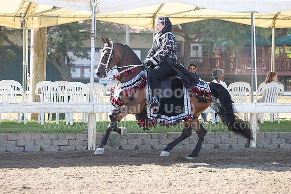 DAHA22_Sun_3098