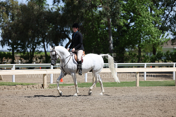 DAHA22_Thurs_0877