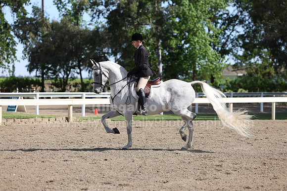 DAHA22_Thurs_0666