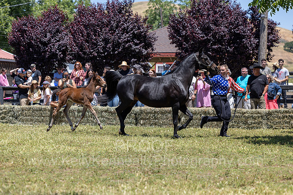 ShermanRanch0524_3036
