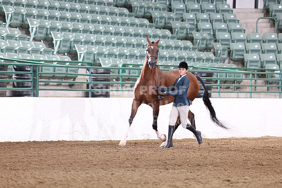 R322_CH_Thurs_2745