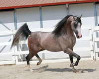 BeckerEvent26_1245_1