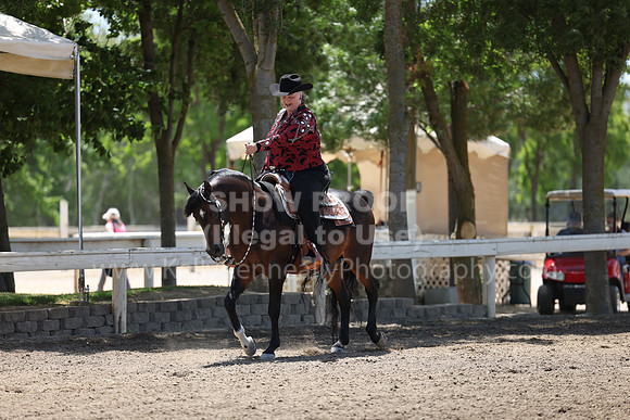 DAHA22_Thurs_0955