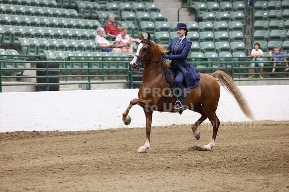 R322_CH_Sat_5656