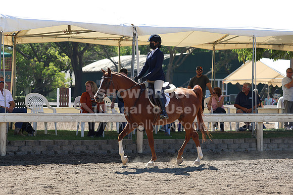 DAHA_FF22_2646