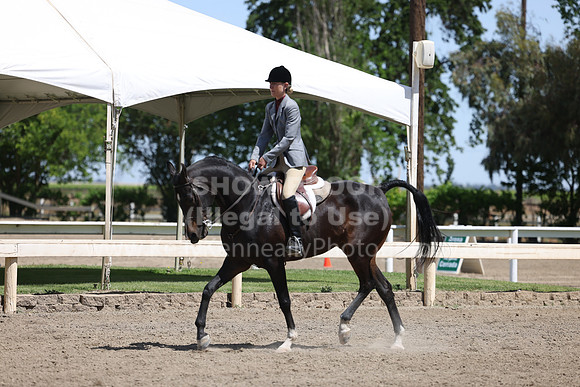 DAHA22_Thurs_0885