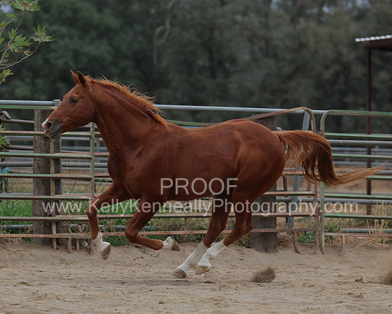 DocFall26_5701