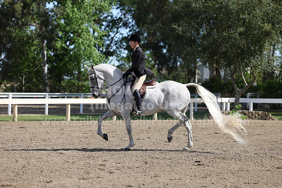 DAHA22_Thurs_0665