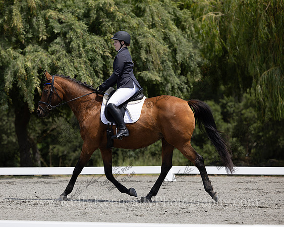 FFDressage23-00153