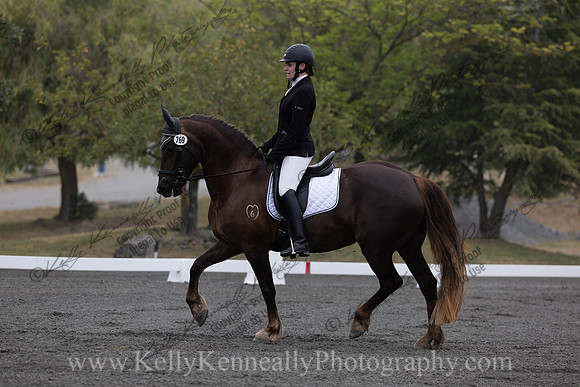 FFDressage23-00025