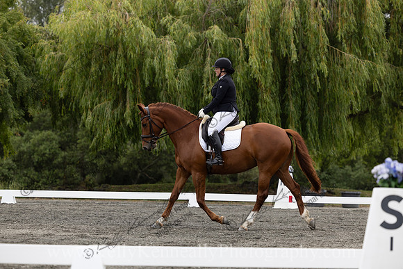 FFDressage23-1262