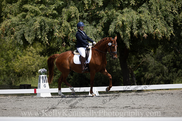 FFDressage23-00168