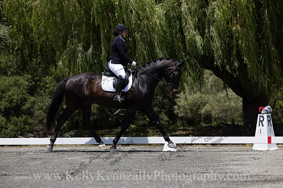 FFDressage23-3838