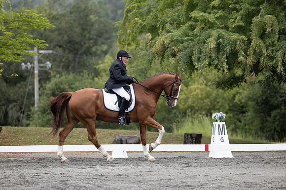 FFDressage23-1999
