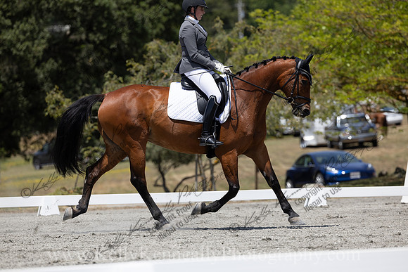 FFDressage23-4324