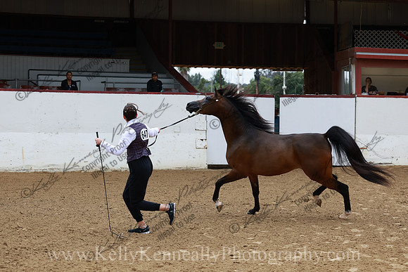 R2CH23_Thurs_0691