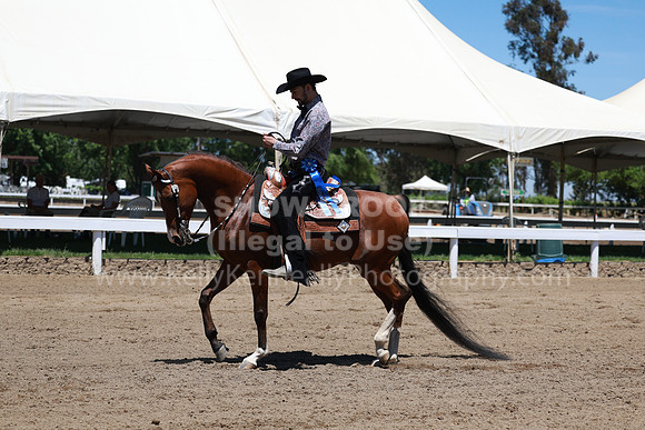 DAHA23_Fri_1058