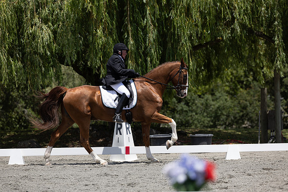 FFDressage23-3406