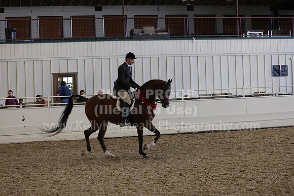 AHANC23_Thurs_2287