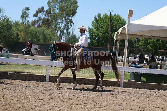 DAHA23_Fri_1791