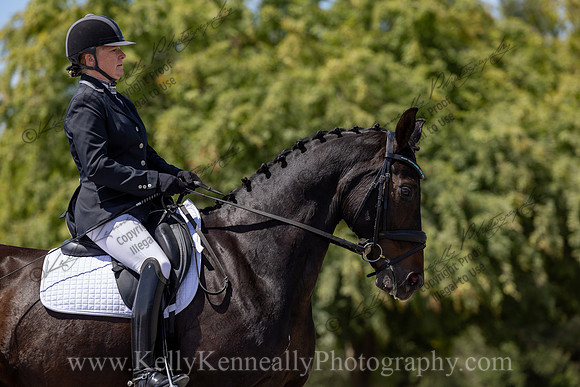 FFDressage23-4996