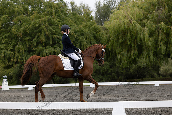 FFDressage23-0690