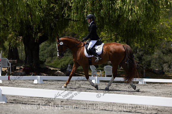 FFDressage23-4037