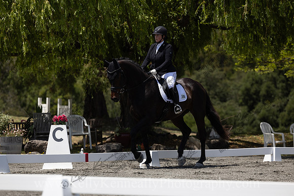 FFDressage23-3872
