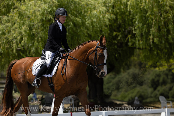 FFDressage23-4055