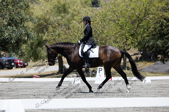 FFDressage23-00269