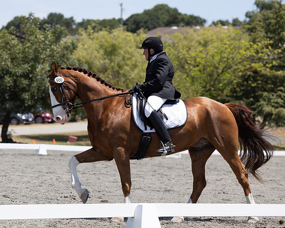 FFDressage23-00196