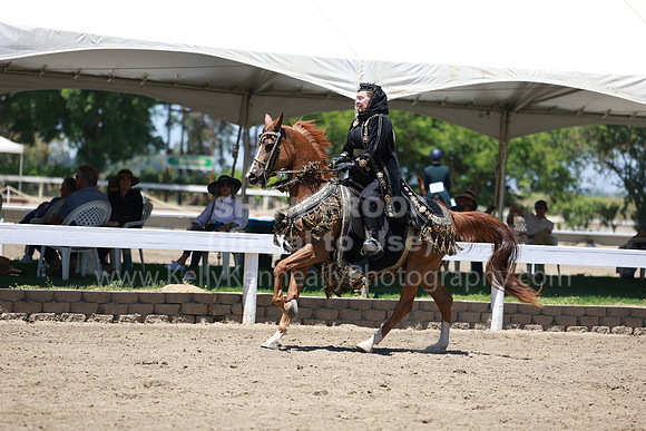 DAHA23_Fri_1446