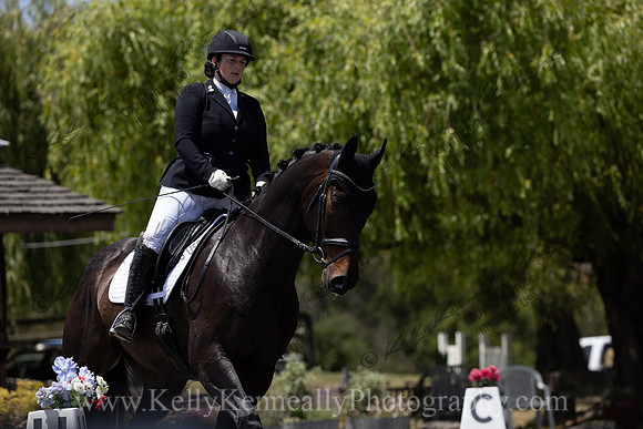 FFDressage23-3874