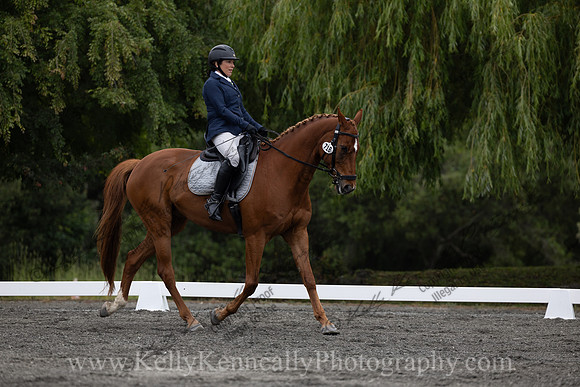 FFDressage23-1051