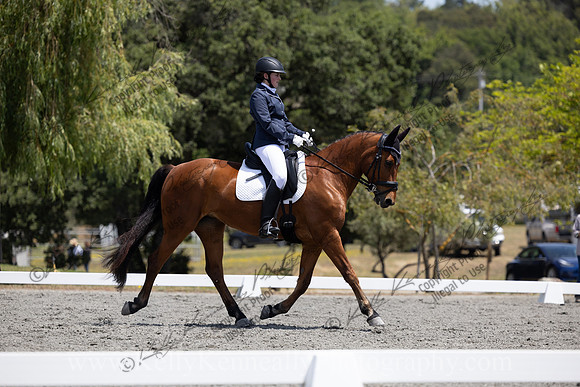 FFDressage23-00182