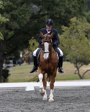 FFDressage23-1944