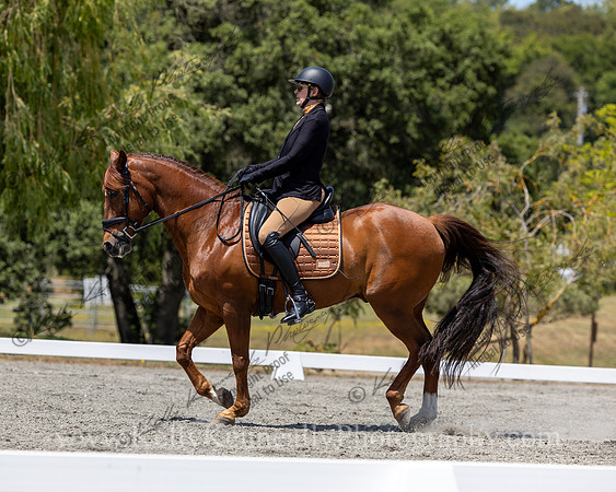 FFDressage23-4600