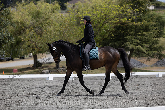 FFDressage23-2287